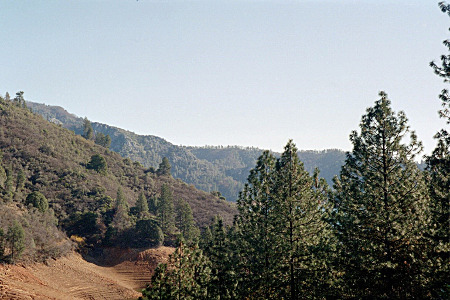 [Beautifully shaped symmetrical evergreens are in the foreground with expansive high hills along the sides and background of the image. The sky is clear.]